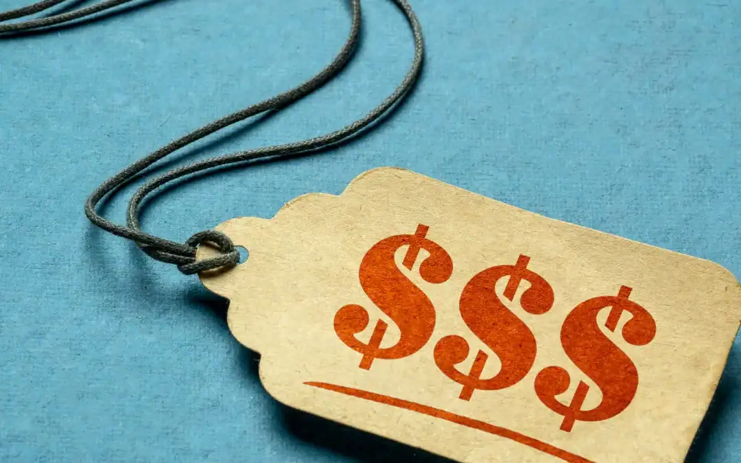 From Waitress to 6-Figures: The Key To High Photography Pricing